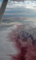 Great Salt Lake